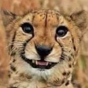 Meet your Posher, Deborah